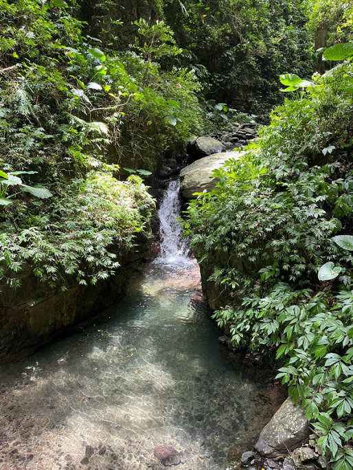 BOD水质在线自动监测仪 BOD水质在线自动监测仪