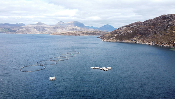 1773021389769000.jpg pexels-e-stephen-2155349928-33677972.jpg