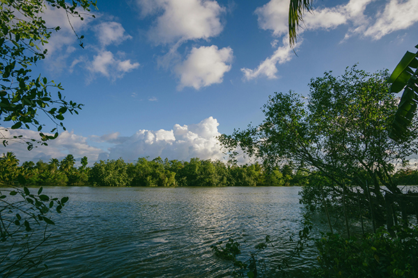 1773022220918168.jpg pexels-fox-58267-929361.jpg