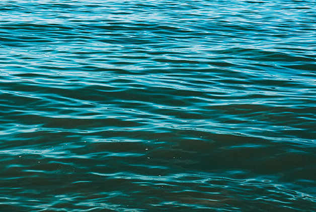 pexels-fotios-photos-2072264.jpg