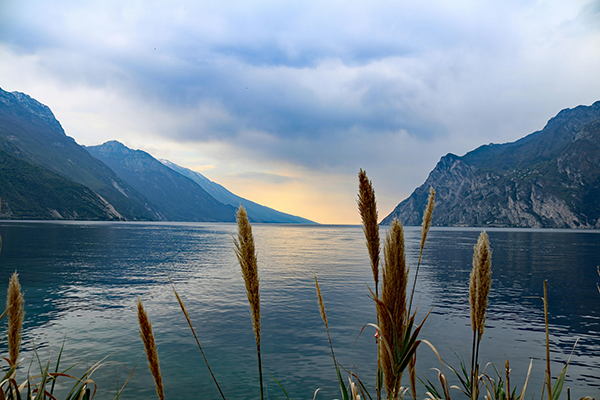 1786944568416864.jpg pexels-pixabay-533854.jpg
