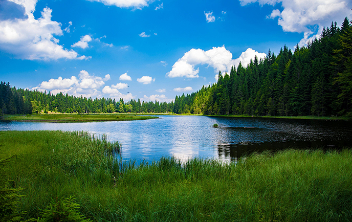 pexels-pixabay-247600 (1).jpg